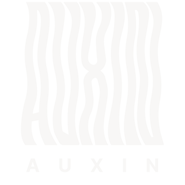auxin jewelry